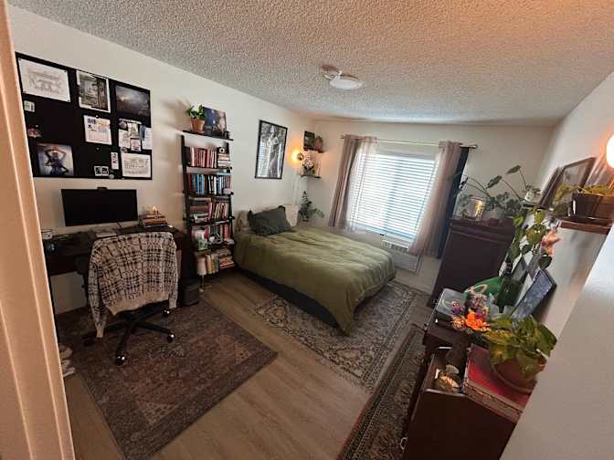 Rachel's room