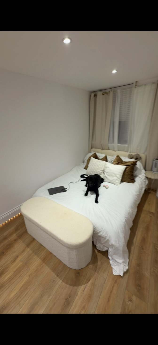 Roya's room