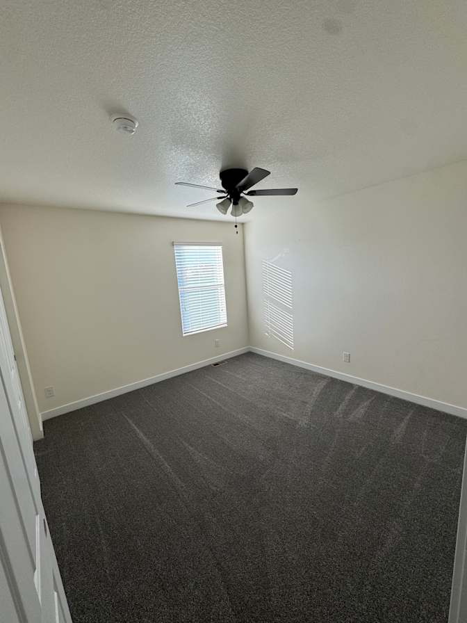 Matt's room