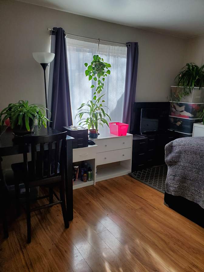 Cindi's room