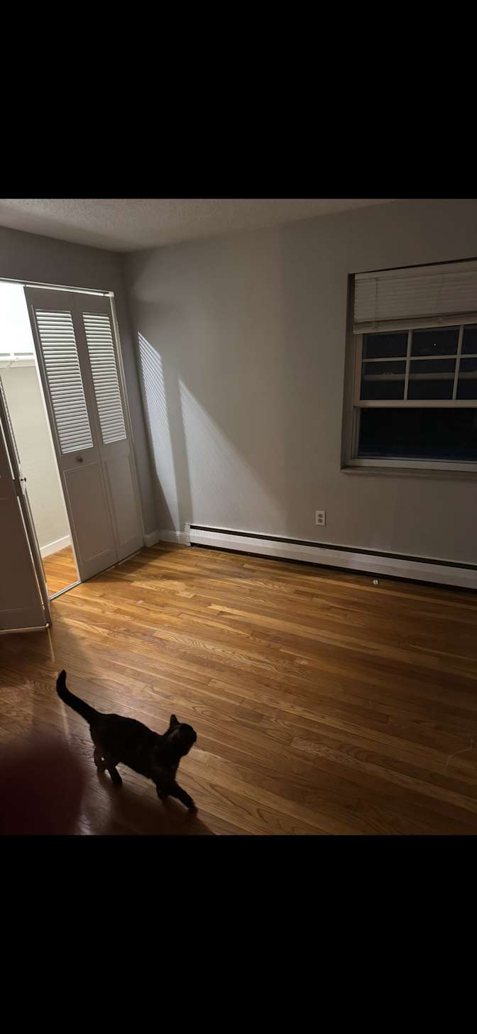 Sedona's room
