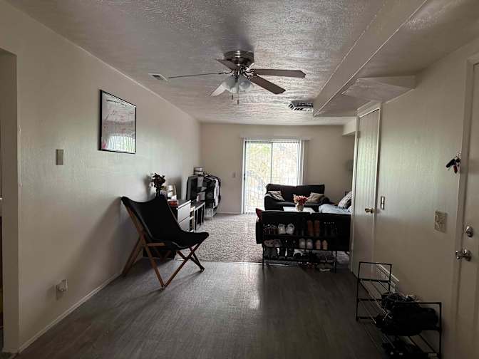 Conal Colamarino's room