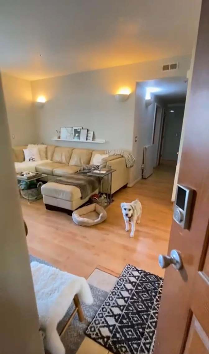 Carmela Foote's room