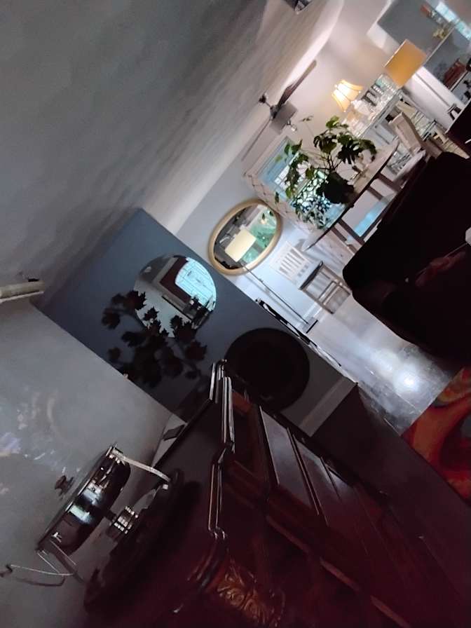 Magnificent's room