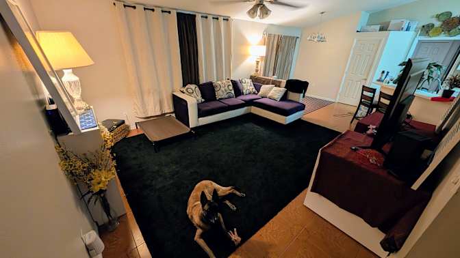 LORI's room