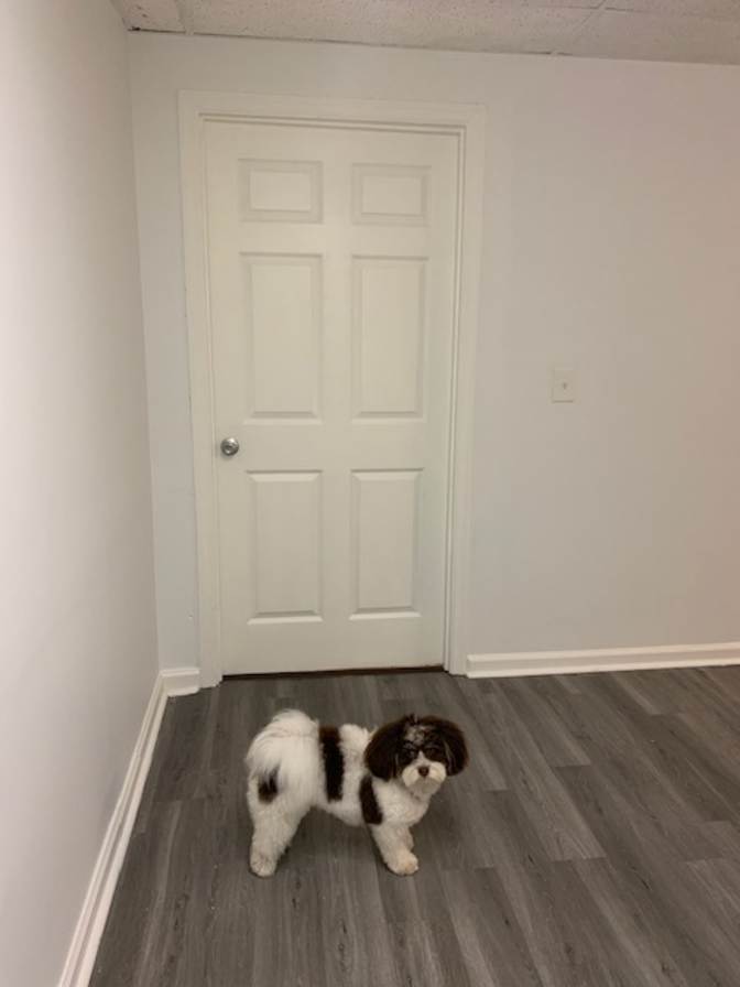 Jeanette's room
