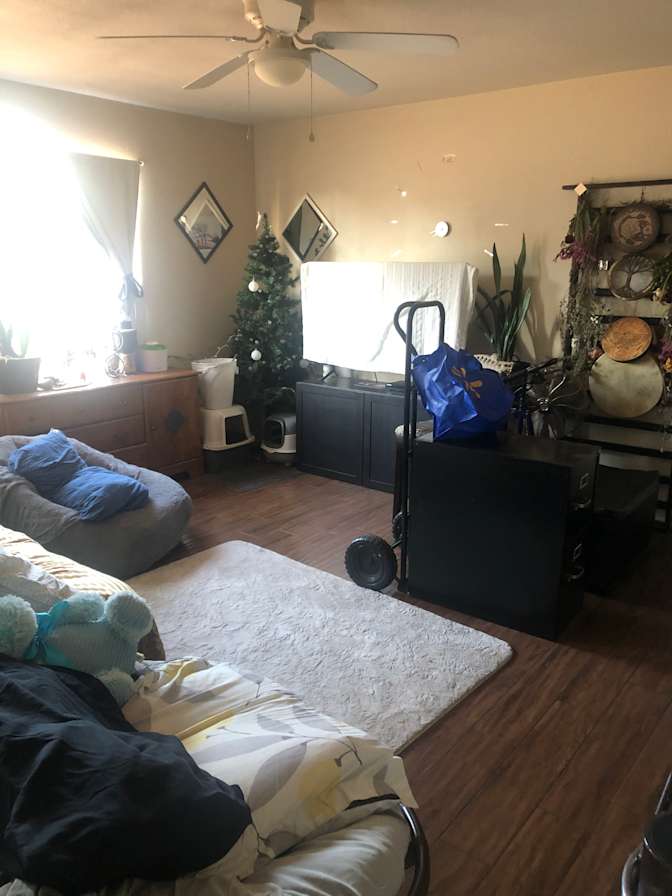Lisa's room