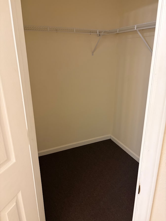 Tim's room