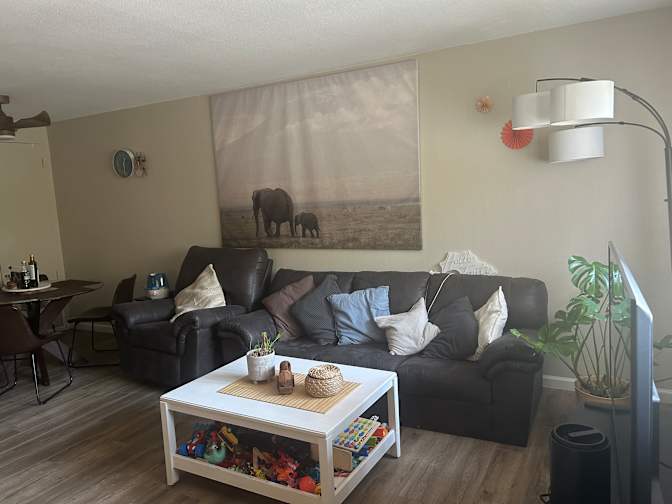 Patricia A L's room