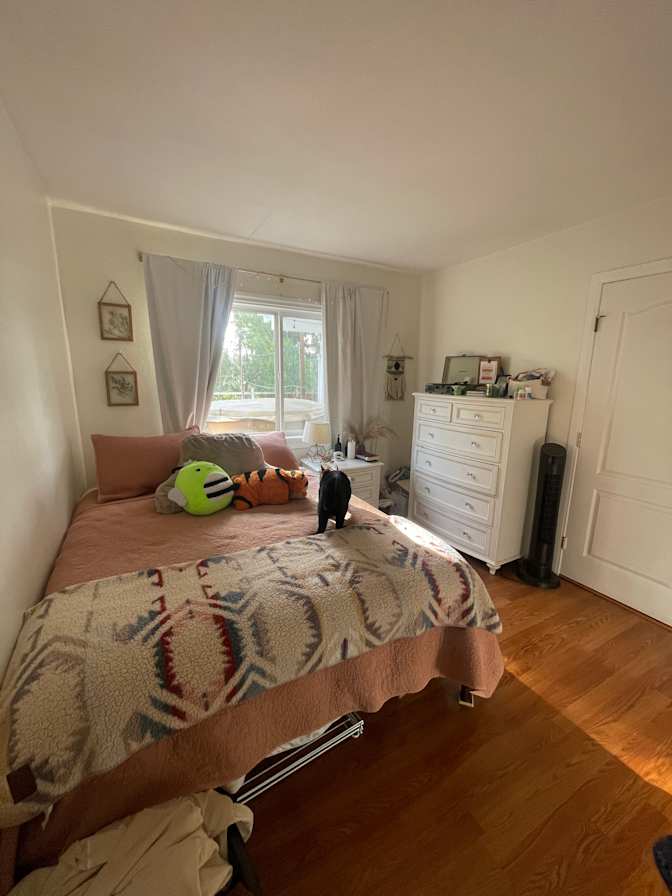 Lauren's room