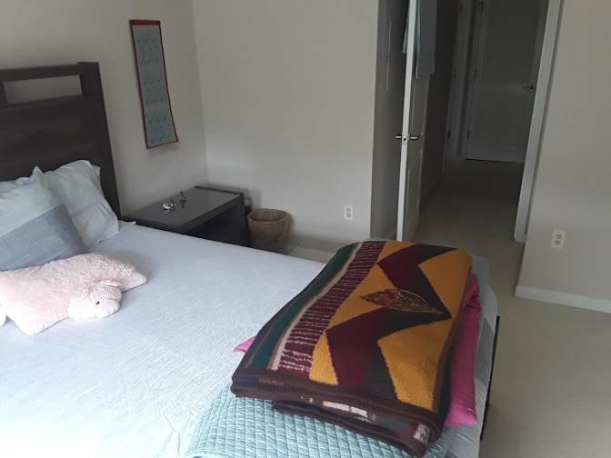 Vivek's room