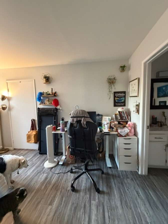 Jane's room