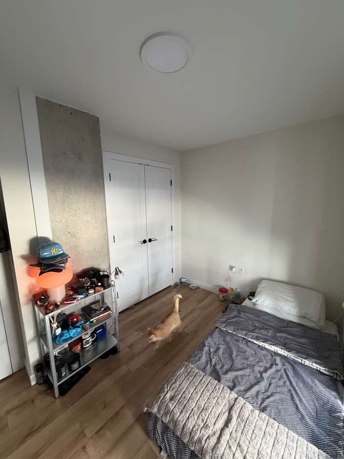 dan maurice's room