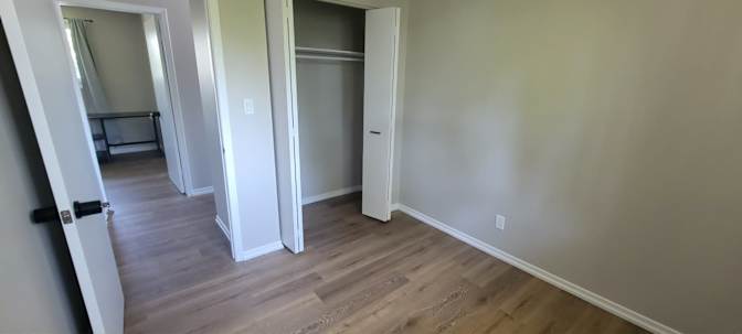 Ellen's room