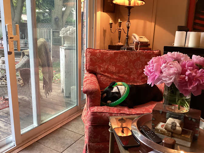 Jeffrey Pommer's room