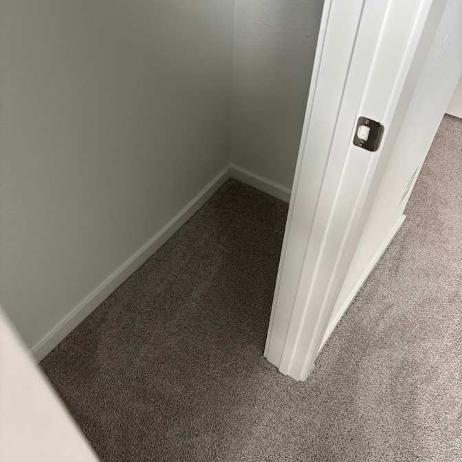 Cat's room