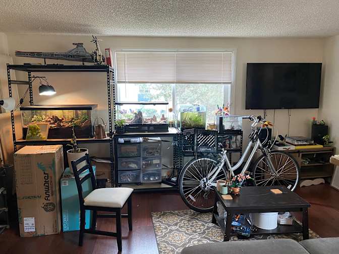 Trevor's room