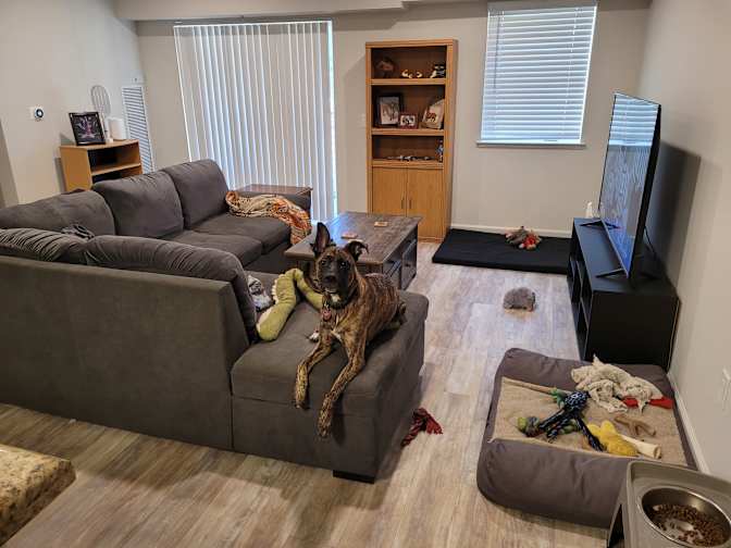 Todd's room