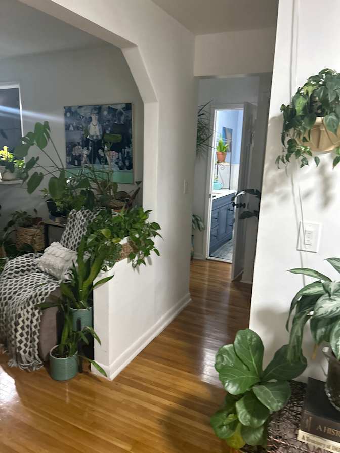 Jacklyn Stephens's room
