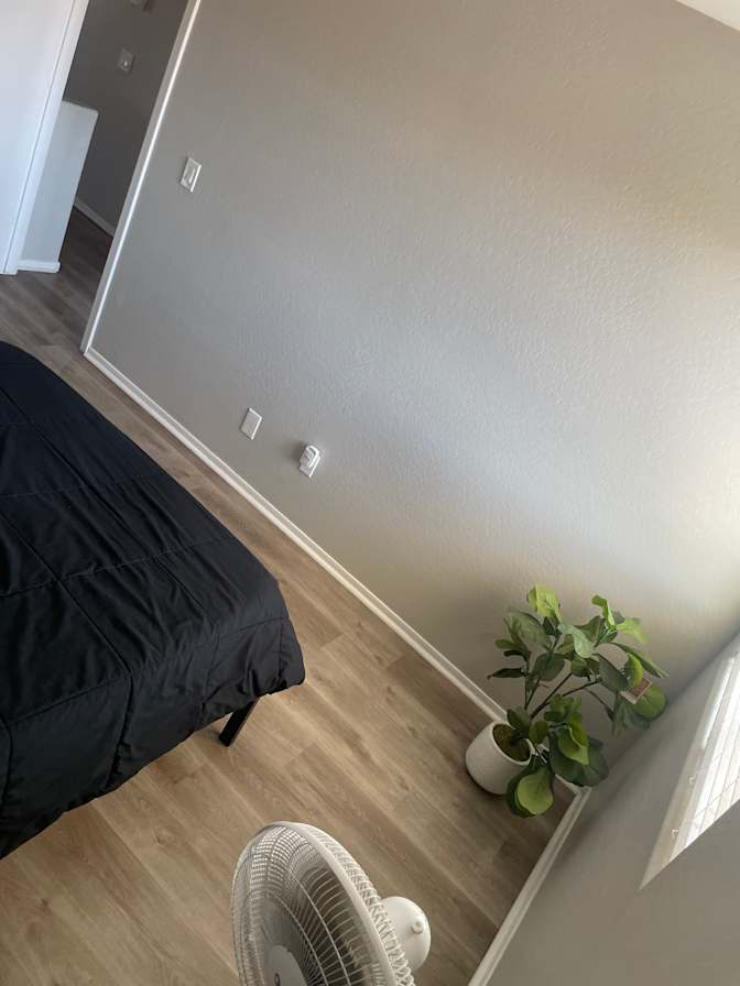 Lia Homes's room