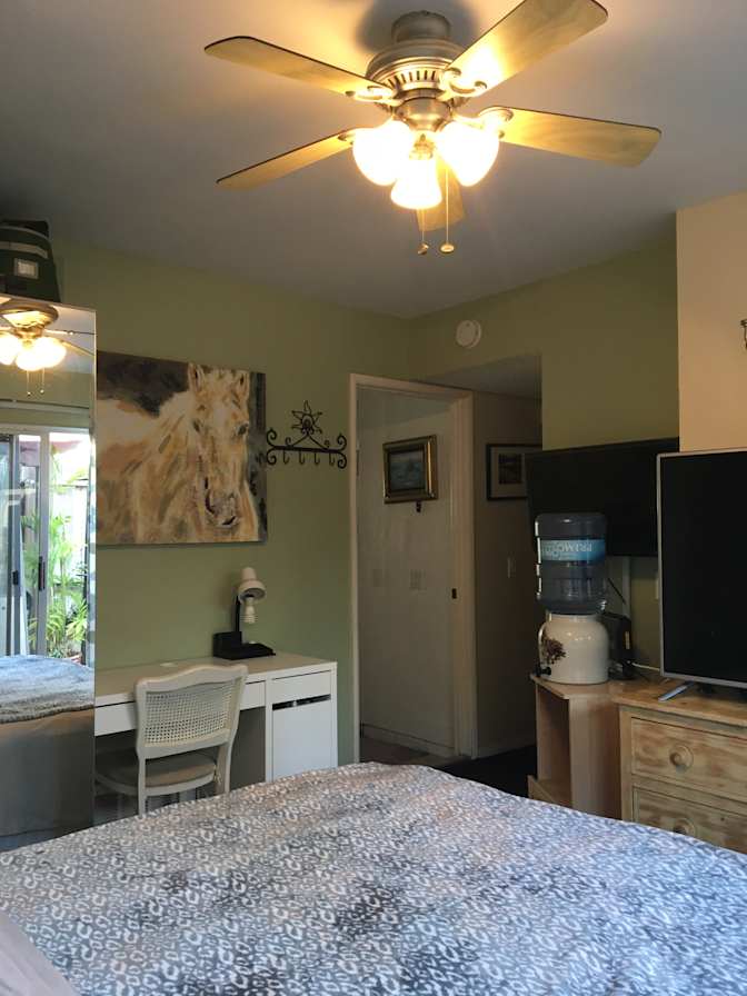 Lucy's room