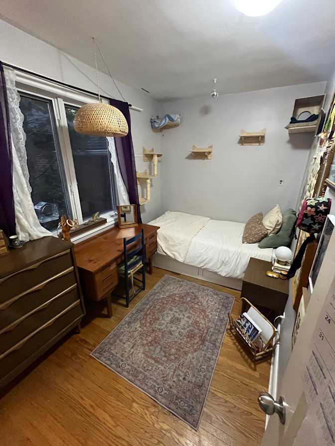 Saffron du Preez's room