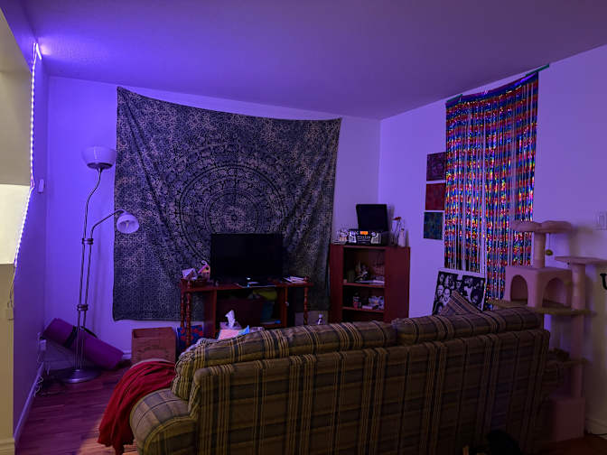 Pimlico Crescent - Photo 6