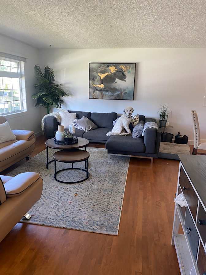 Jody Lambertus's room