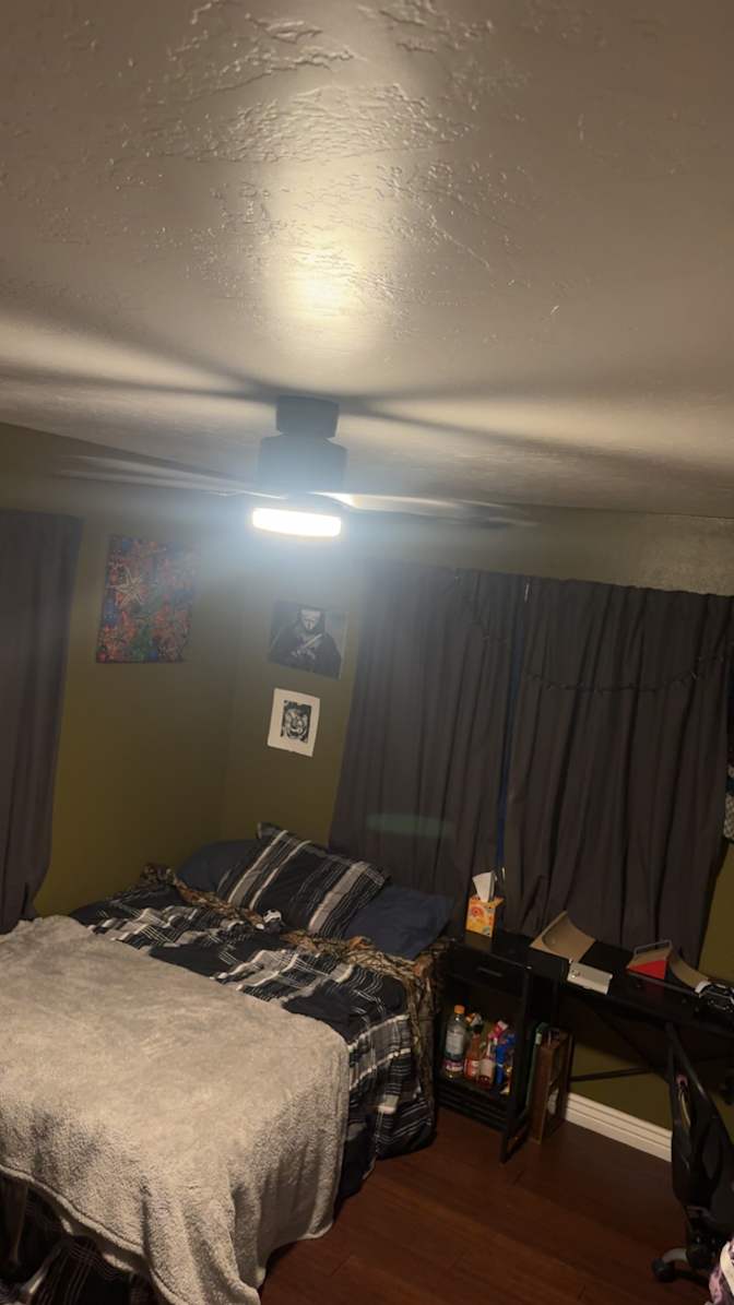 Wylie Campbell's room