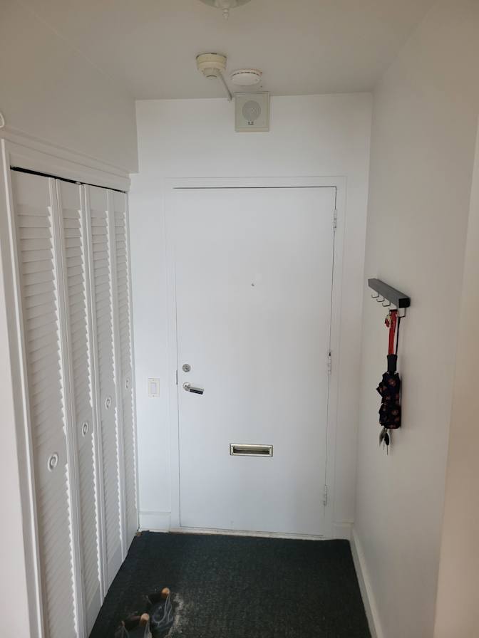 Ozgun Varol's room