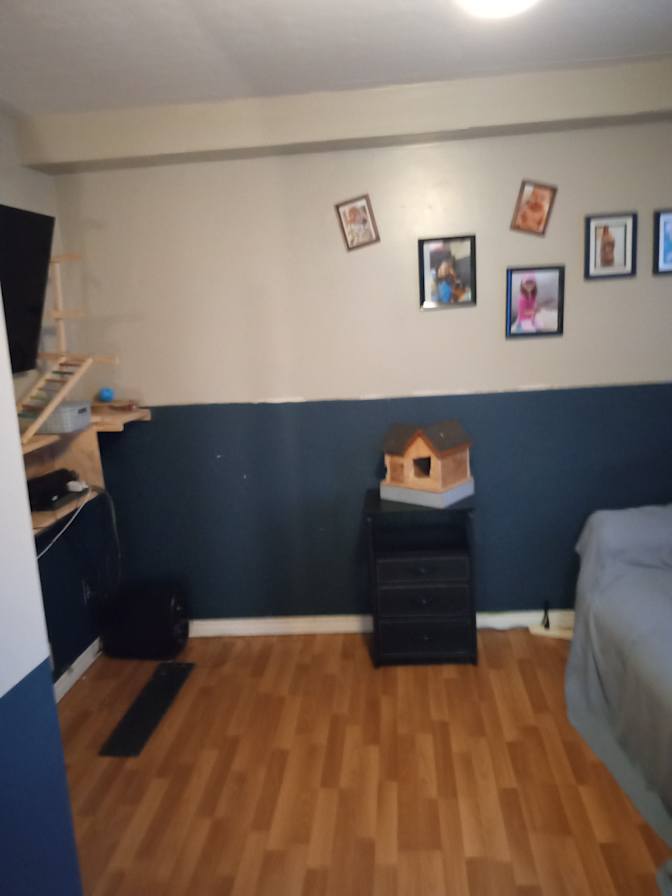 Cindy's room