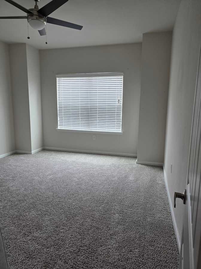 Tania's room