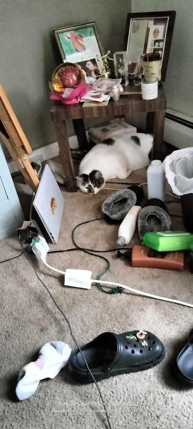 Karen's room