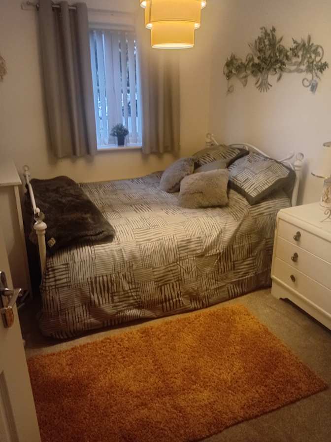 Sandra newman's room