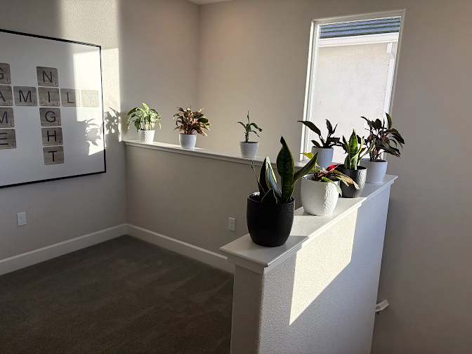 Hitesh khullar's room