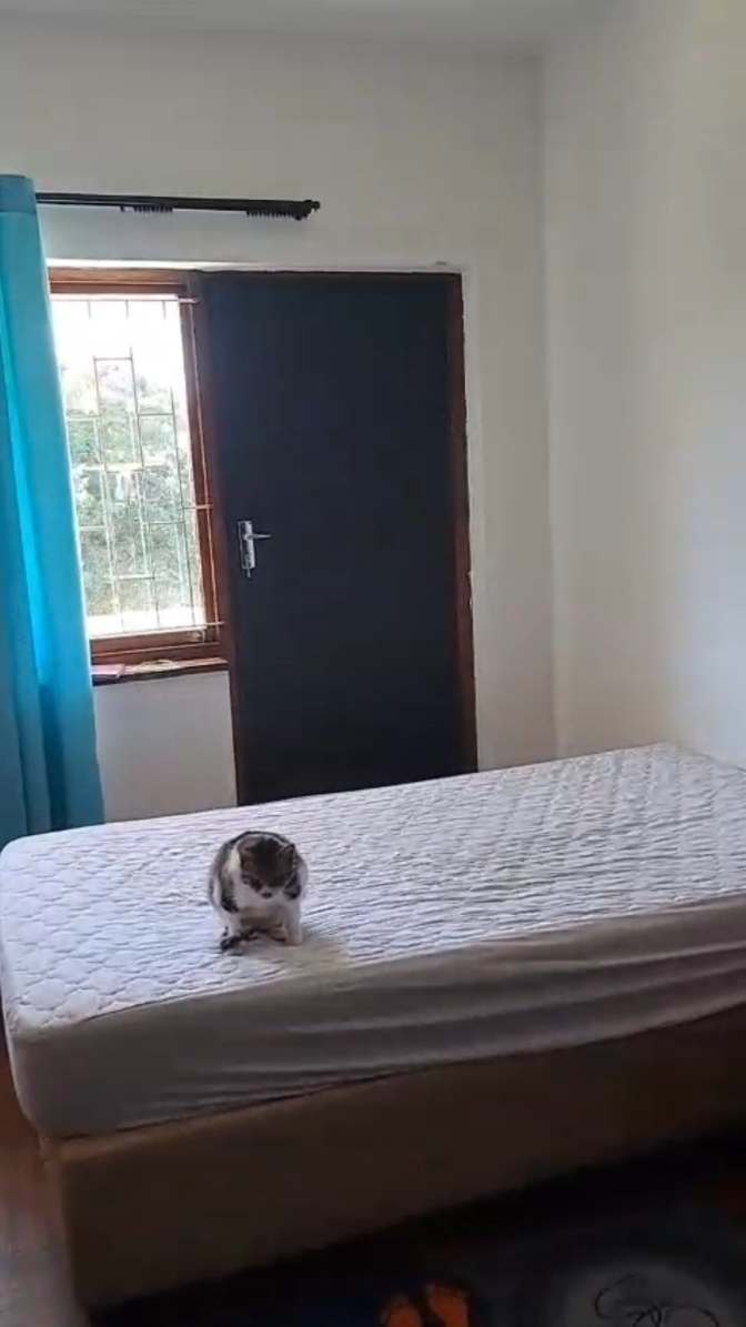 Kelly's room