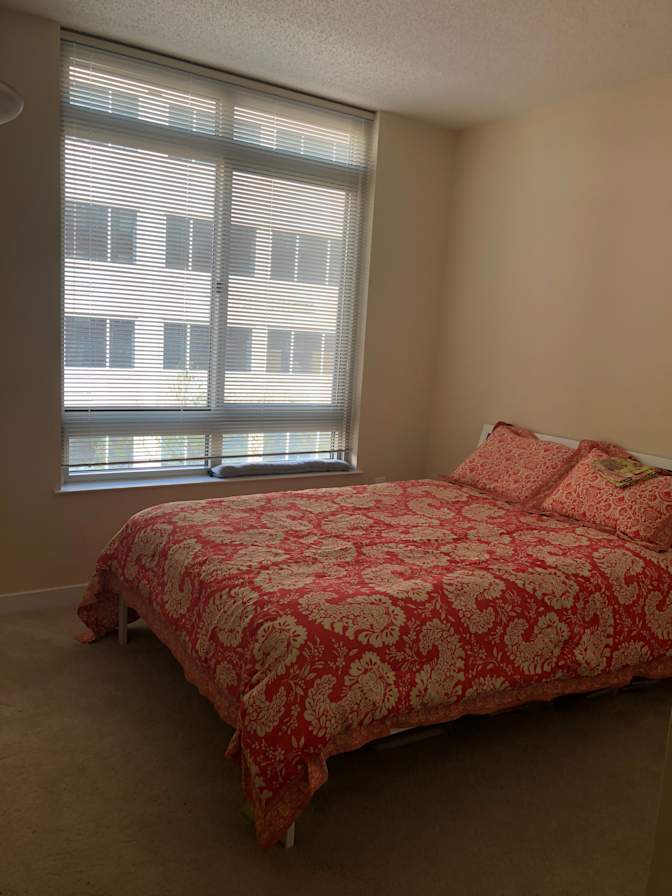 adari's room