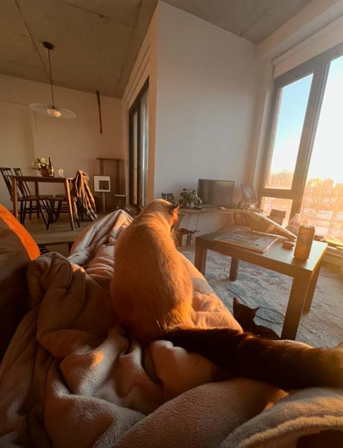 Sophia's room