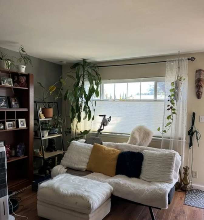 Renee's room