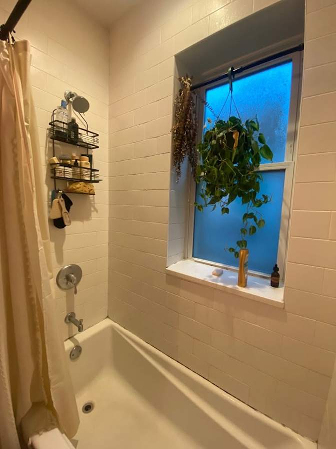 Anastasia K Rhodes's room