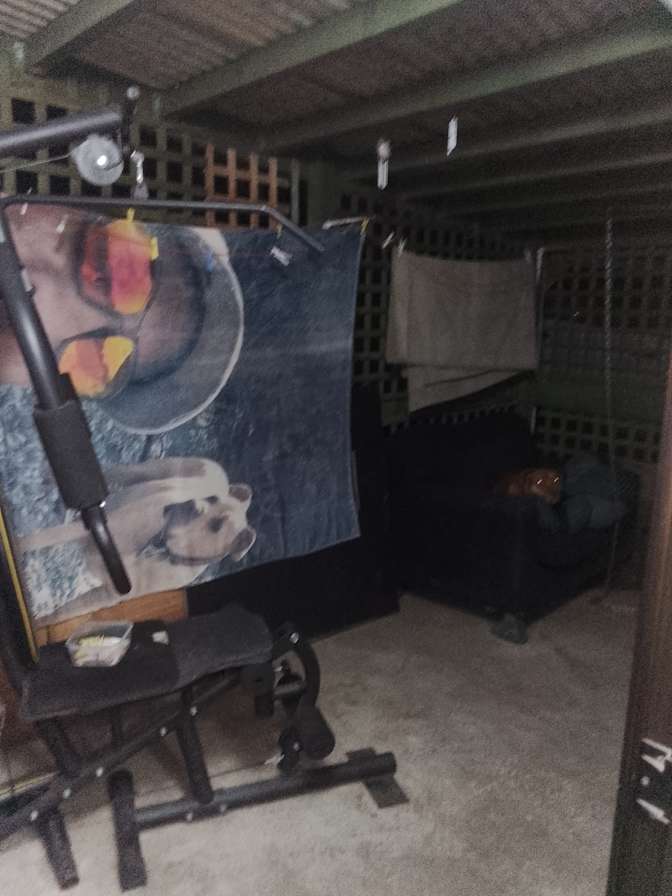 Steven Davis's room
