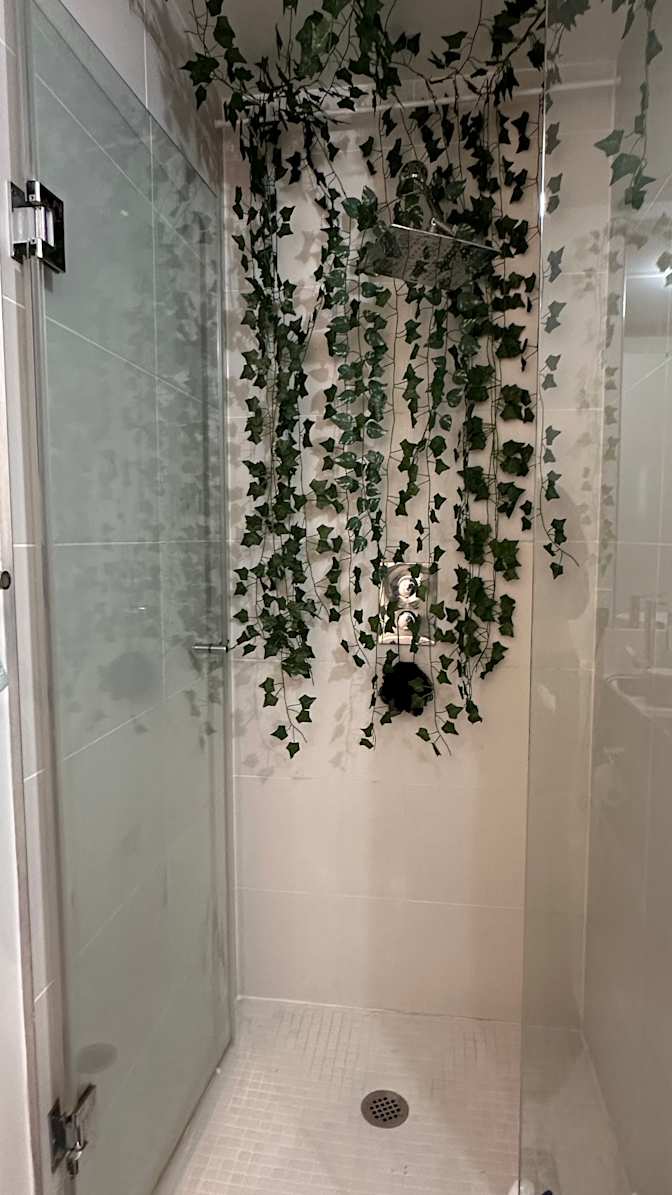 Spinder Raina's room