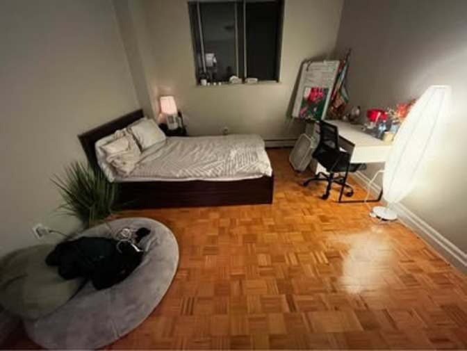 Mariya Anashkina's room