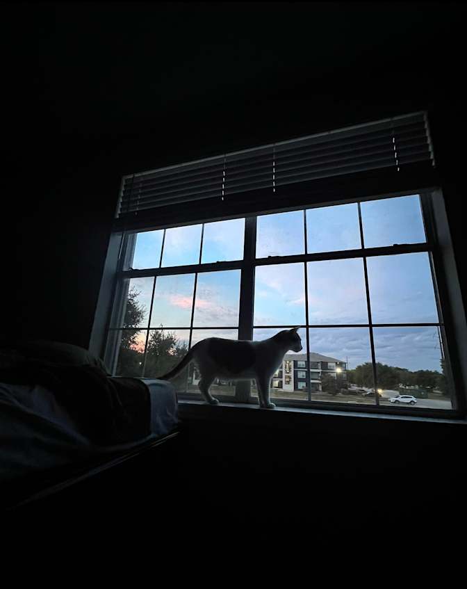 Nav's room
