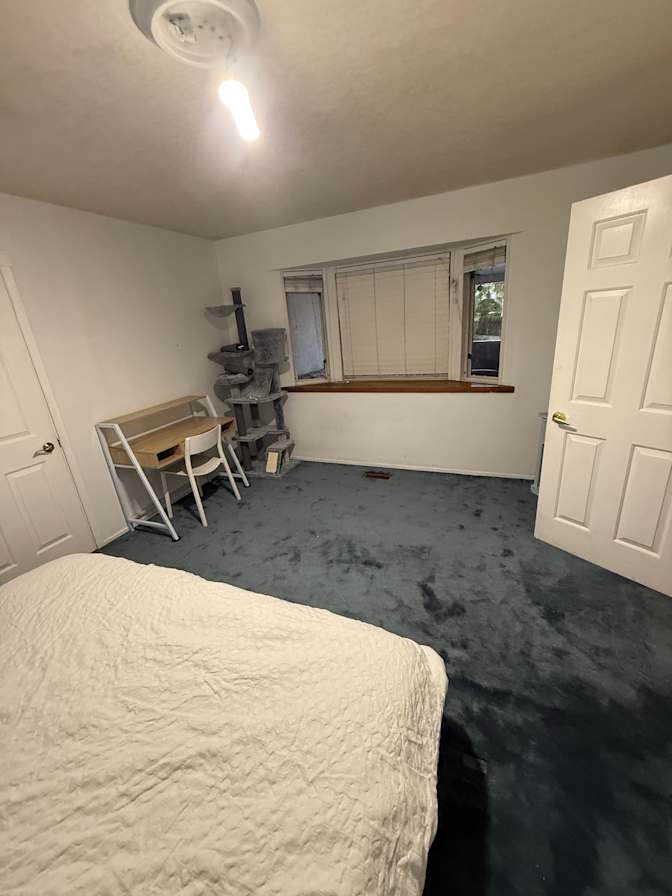 Roxanne's room