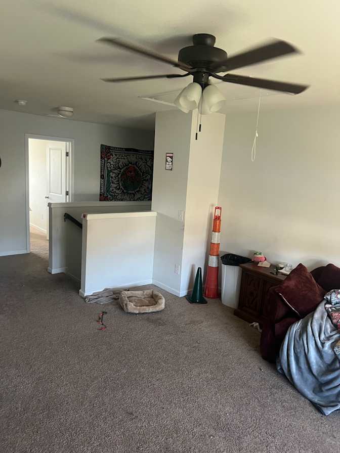 Liz's room