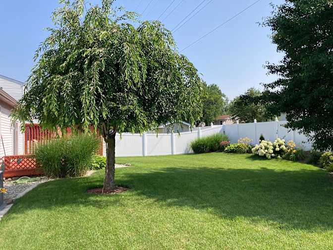 Steve's room