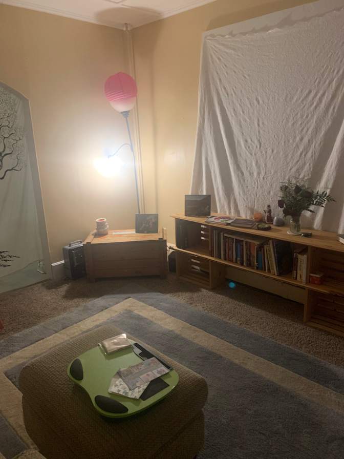 Cat's room
