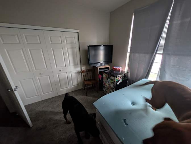 stephen's room