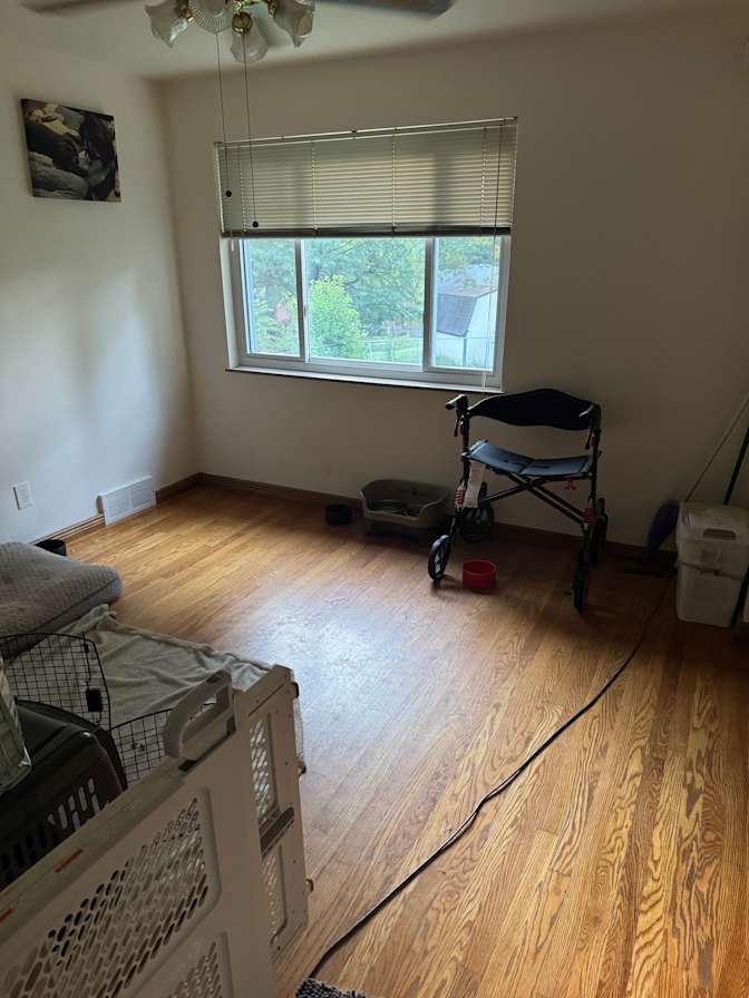 Alexander's room